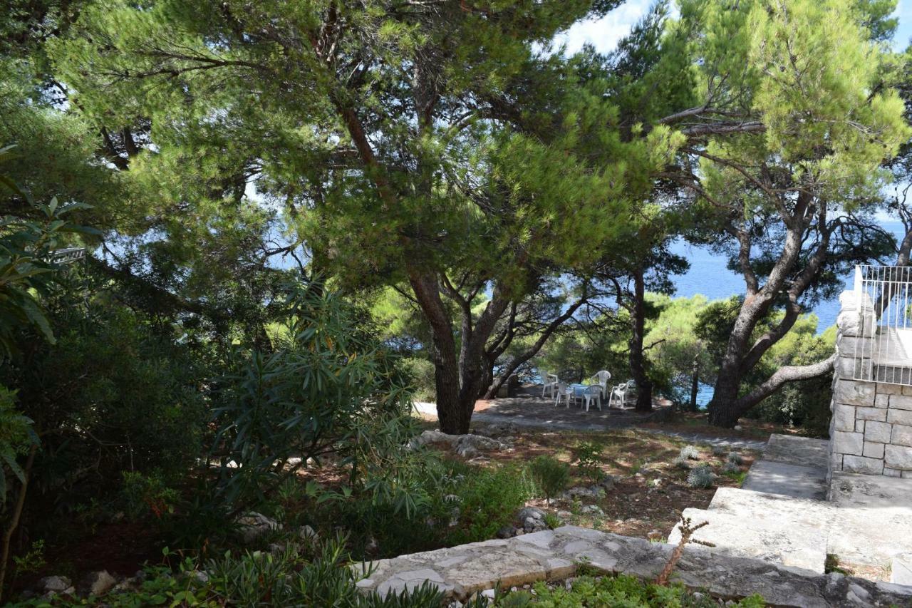 Apartments Polic Primošten Dış mekan fotoğraf