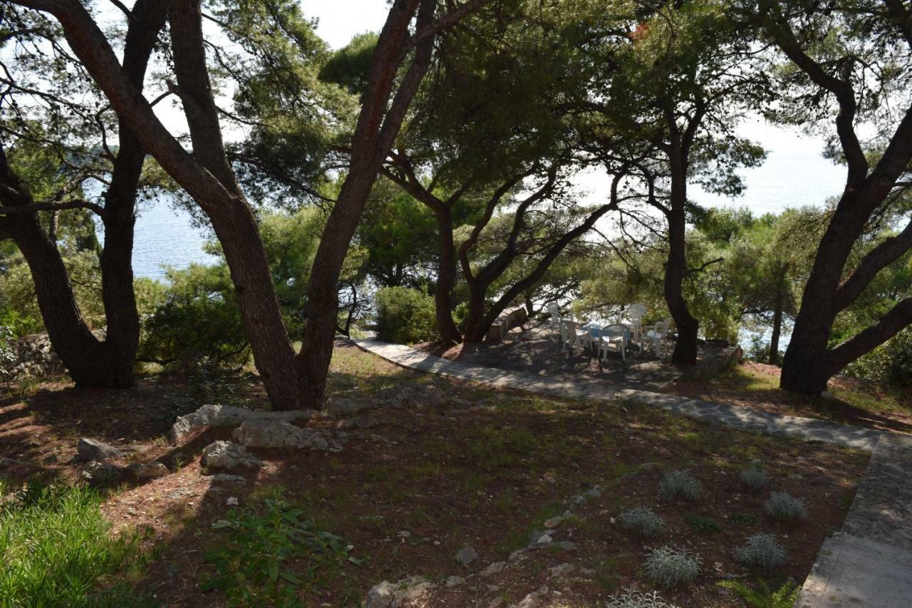 Apartments Polic Primošten Dış mekan fotoğraf